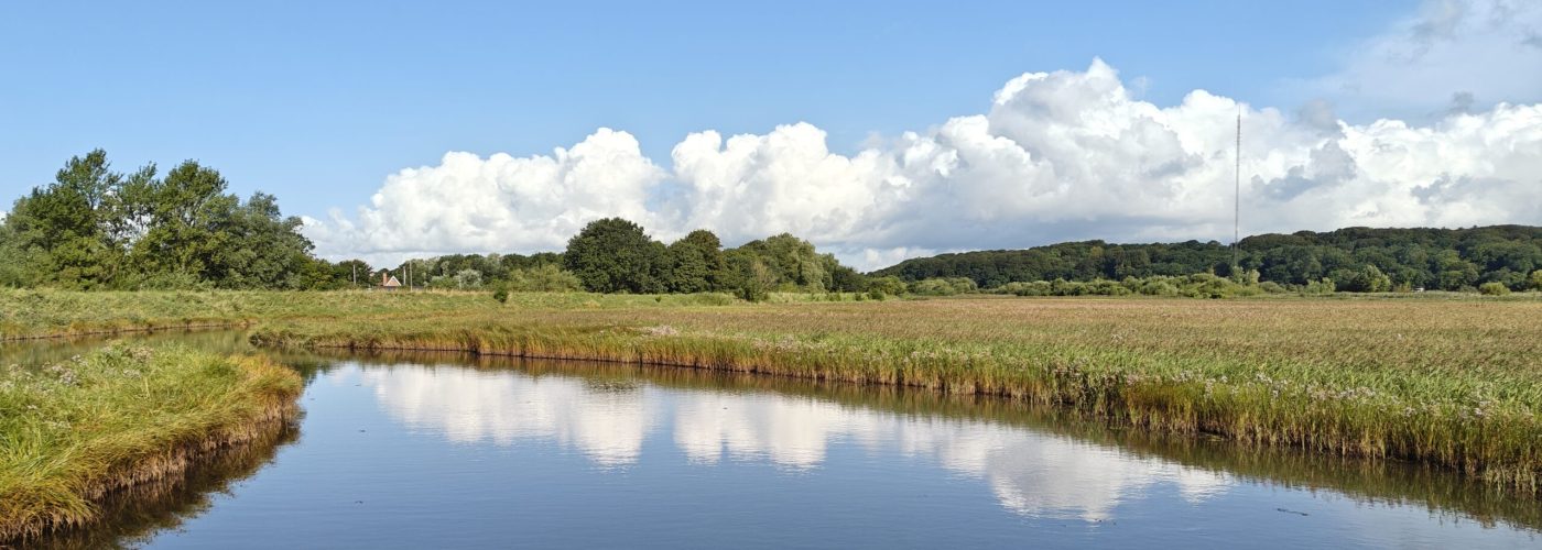 Karup å med eng på begge sider. Der er høj solskin så himlen spejler sig i vandet.